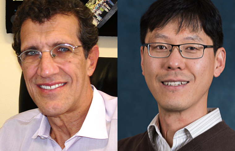 Public health experts will review environmental factors that contribute to diabetes, obesity