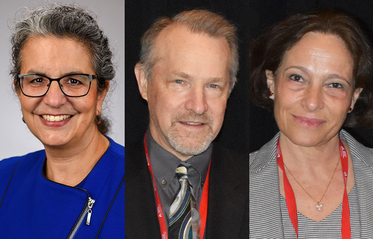 Panelists review highlights in clinical, basic, and translational science from the past year