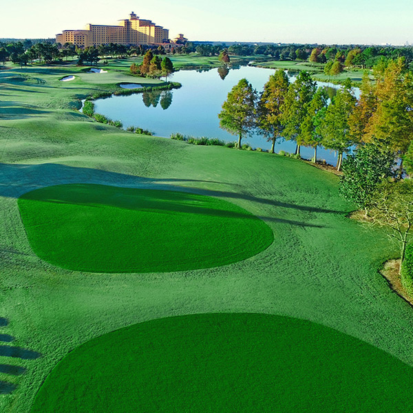 Shingle Creek Golf Club