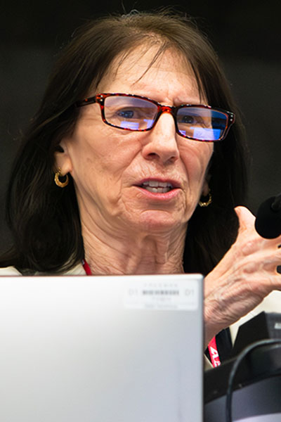 Lori Michelle Laffel, MD, MPH,